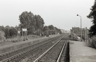 Vreren-Nerem - MZ-642-20493.jpg